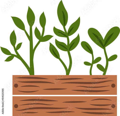 Blooming Garden: Fresh green plants sprout from a rustic wooden crate, showcasing the beginning of plant growth, a symbol of life and renewal.
