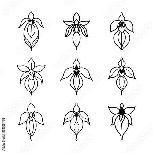 Lady Slipper Orchid Line Art Vector Set Collection