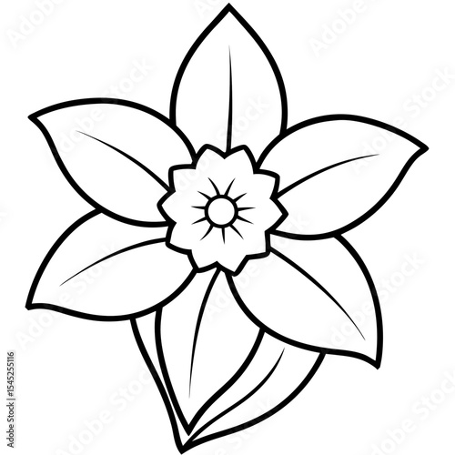 Daffodil art vector
