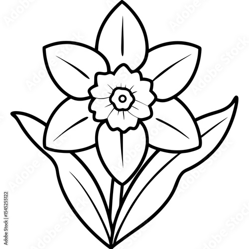 Daffodil art vector