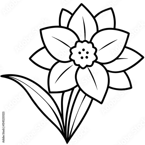Daffodil art vector