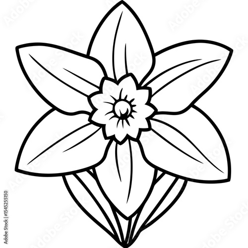 Daffodil art vector