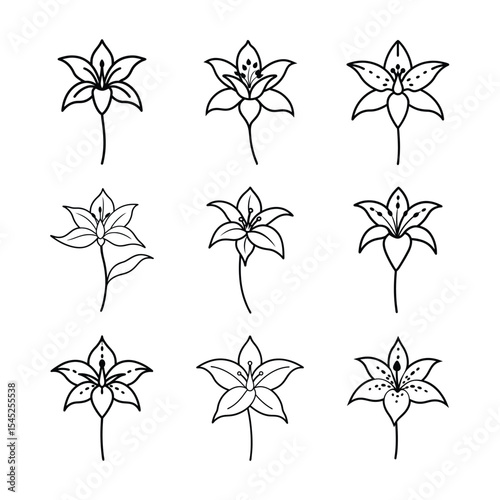 Tiger Lily Line Art Vector Set Collection