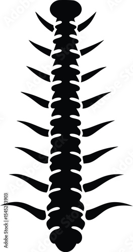 Stylized Spine Vector

