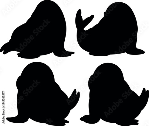 Large tusk walrus resting vector illustration
