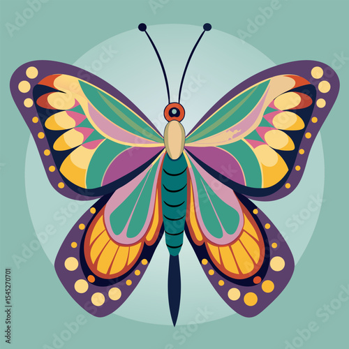 Top view over butterfly isolated