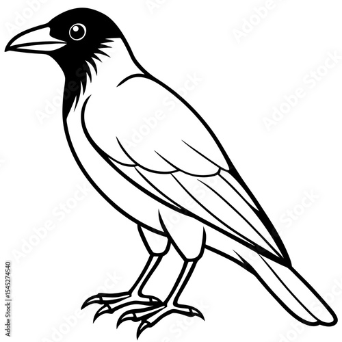 Crow line art vector