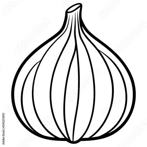 Garlic line art vector