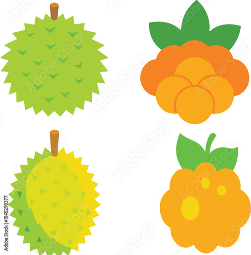 Illustration of Durian and Cloudberry Fruits in a Simple and Flat Design Style on White Background