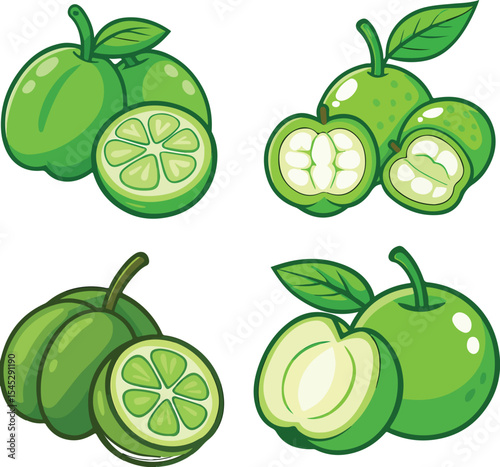 Cartoon Illustration of Fresh Green Guava Fruit with Halves and Leaves on White Background