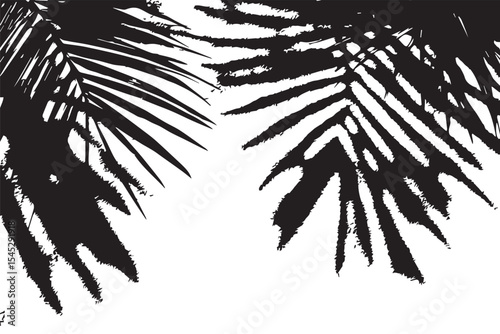 Palm leaves casting shadows on a textured beige surface creating a tropical and summery feel