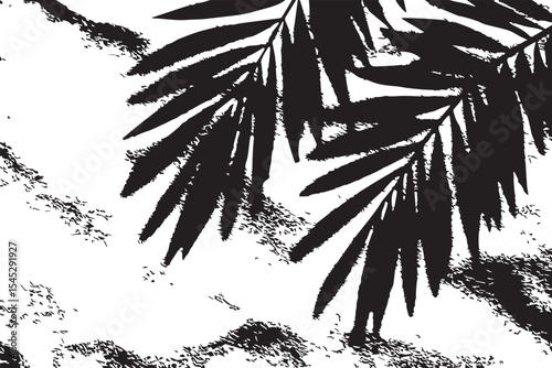Shadows of palm leaves cast on a textured beige surface creating a natural and tropical ambiance
