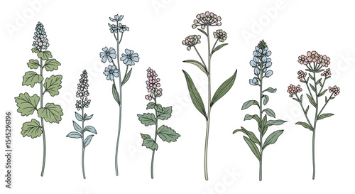 Illustration of several different types of flowering plants with leaves and stems in a row design
