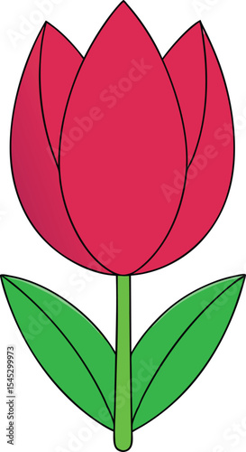 red rose flower