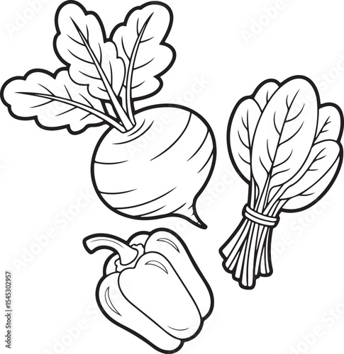 Black and white illustrations of radish spinach and bell pepper vegetables on white background