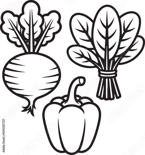 Vector illustration of beetroot spinach and bell pepper perfect for healthy food themes.