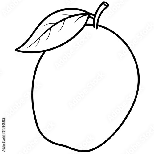 Mango line art vector
