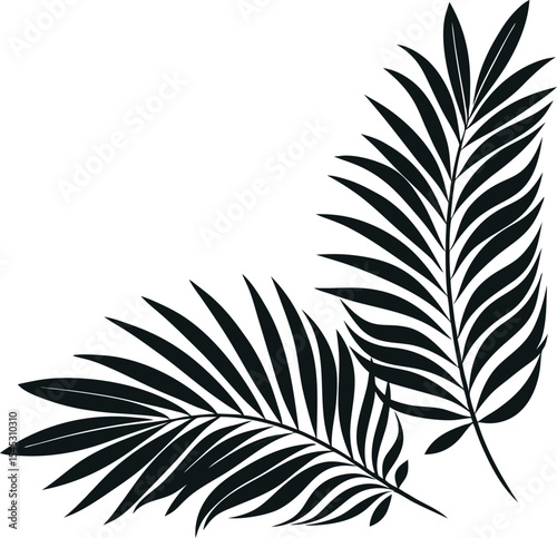 tropical palm leaf silhouette vector illustration, black botanical fronds on white background, perfect for summer decor, nature designs, or print