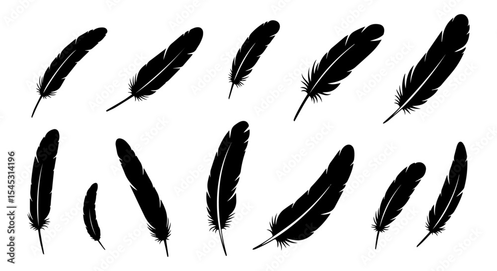 Set of bird feather silhouettes, vector illustration, isolated on white or transparent background. Collection of black plumes for design and decoration.