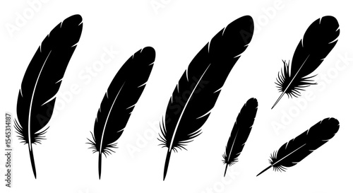 Set of bird feather silhouettes, vector illustration, isolated on white or transparent background. Collection of black plumes.