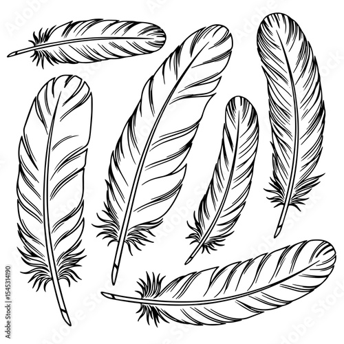 Set of bird feather outlines, vector illustration isolated on white or transparent background.