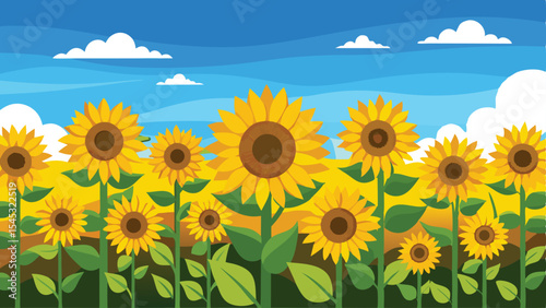 Beautiful field of sunflowers under a bright blue sky with fluffy white clouds