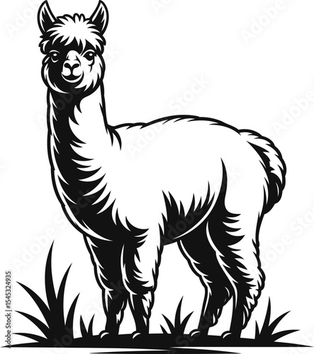 Llama Silhouette with Detailed Fur, Black Vector Design, Transparent Background.