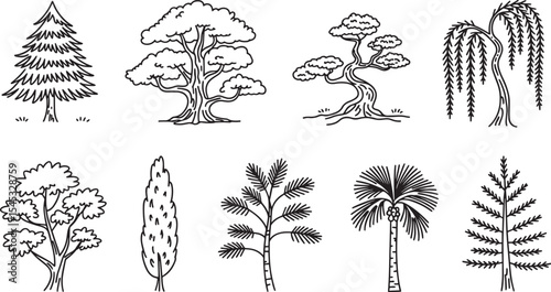 Eight Black Ink Line Drawings of Diverse Tree Types Including Pine Willow Palm and Cypress Trees vector