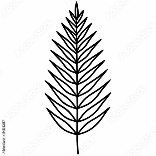 Outline of a fern leaf isolated on white background
