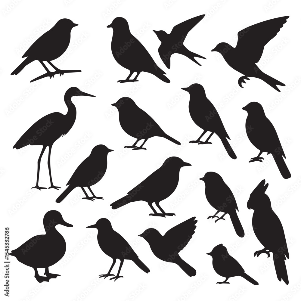 Obraz premium Bird Silhouette Vector Set – Flying & Perching Bird Icons PNG