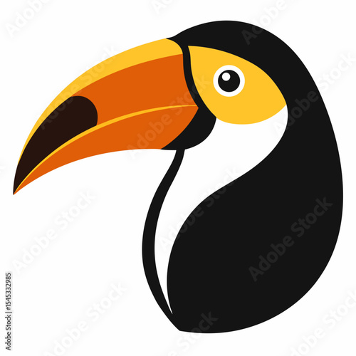 toucan on a white background