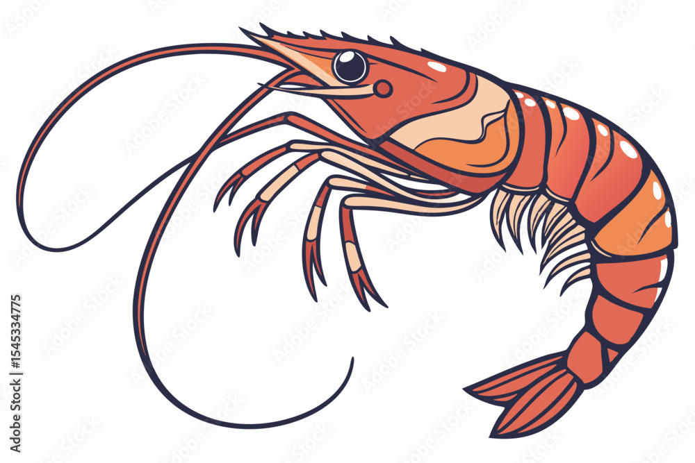 Fototapeta premium vector illustration of a tiger shrimp