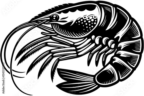 fish vector illustration