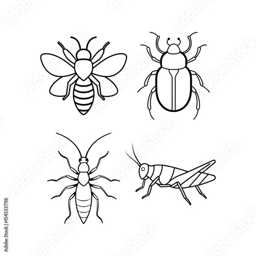 A set of Insects line art vector illustration