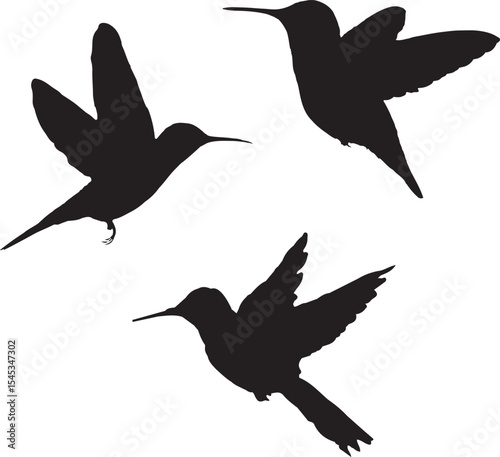 set of birds, bird