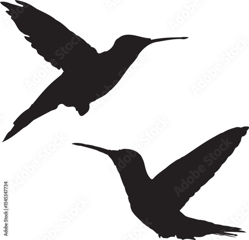 set of birds, bird