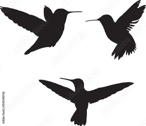 vector silhouettes of birds