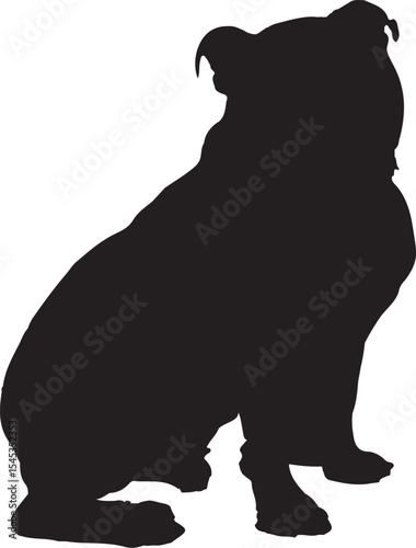 silhouette of bear