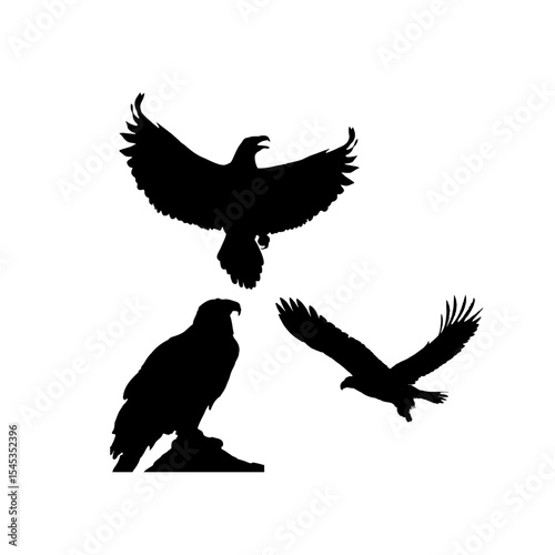 eagle vector illustration