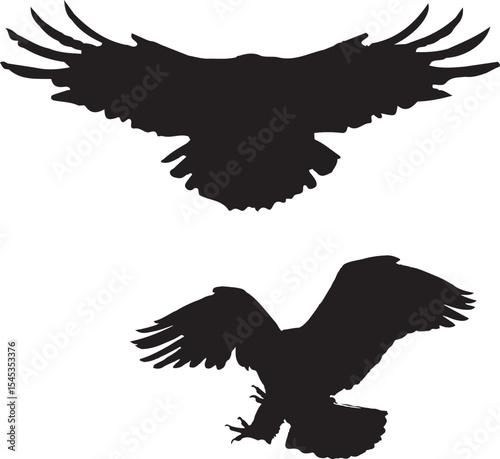 eagle silhouette vector