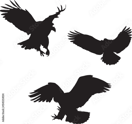 eagle vector illustration