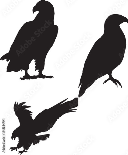 eagle silhouette vector