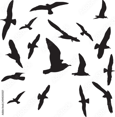 set of birds
