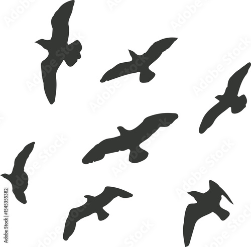 set of birds