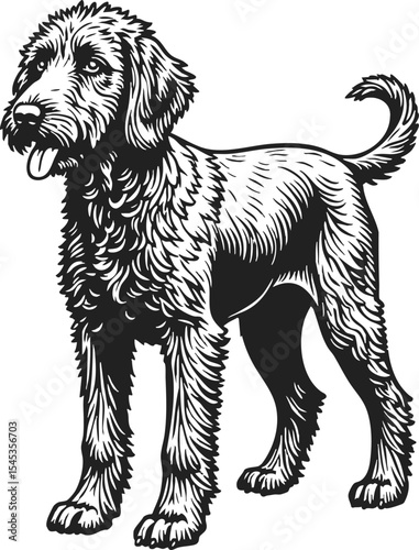 Labradoodle detailed vintage engraving showcasing a playful dog with a textured coat, standing confidently and exuding charm in a classic line drawing style