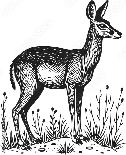 Patagonian Mara etching style showcases a detailed illustration of a Patagonian Mara standing amidst natural flora, capturing the elegance of its form in vintage engraving vector style