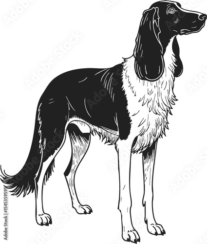 Afghan Hound etching style capturing a graceful silhouette with hatching illustration showcasing elegance and poise against a simple background