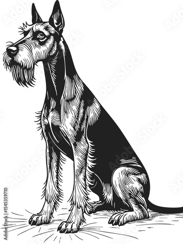 Airedale Terrier engraving vector woodcut style