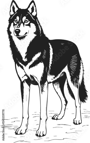 Alaskan Malamute etching style showcases a proud standing dog in a vintage hatching illustration