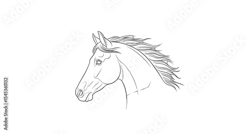 Ethereal Equine Study: An elegant, minimalist line drawing showcases a horse's noble head and flowing mane, embodying grace and artistic simplicity. 